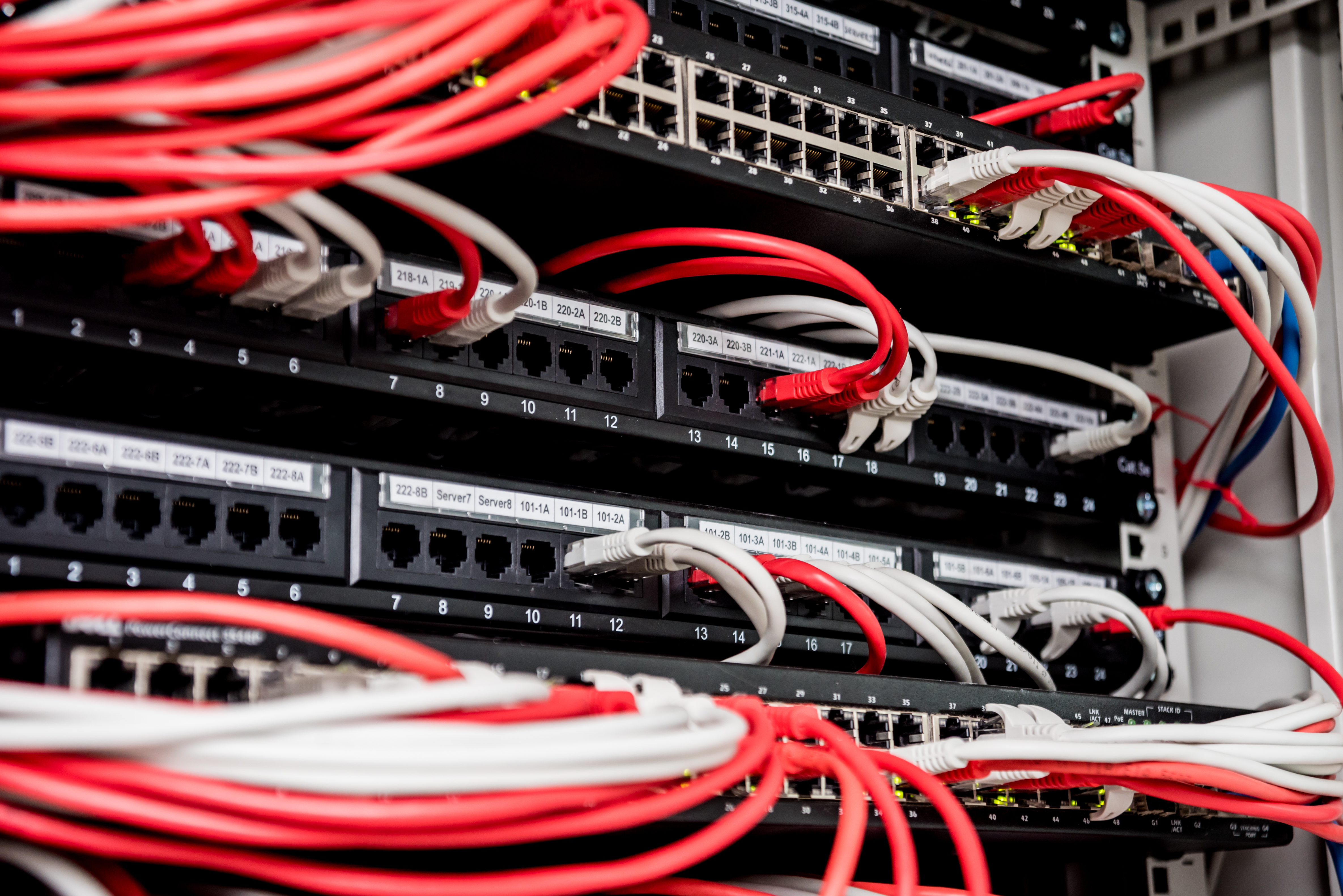 Network switch and connected Ethernet cables